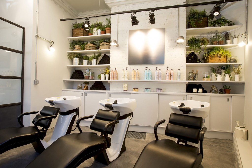 George Northwood's Hair Salon, Fitzrovia / Ground floor backwash with spa area and shelving with plants and herbs