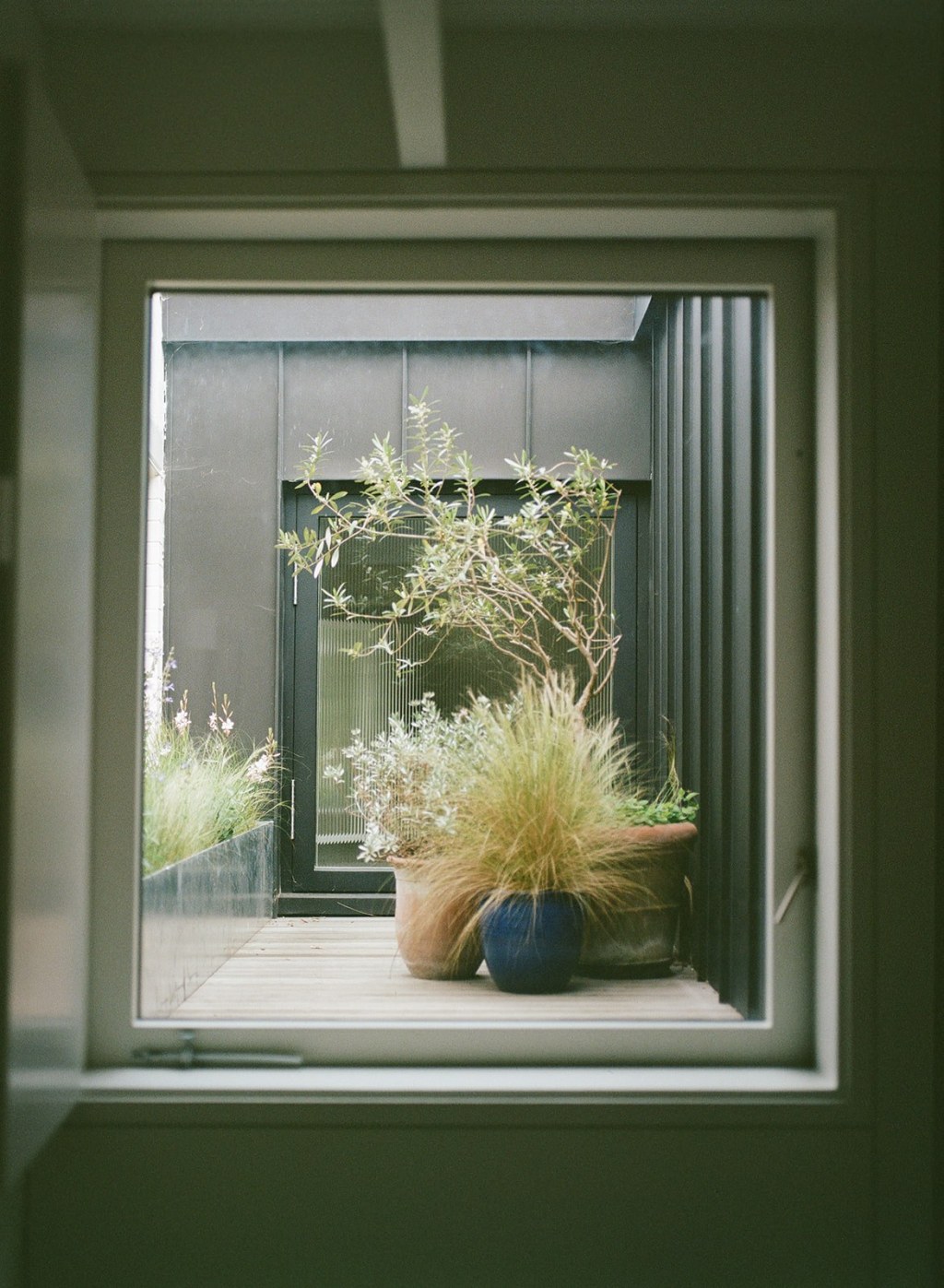 The Coach House / A planted roof terrace gives light and diffuse views from the main bedroom