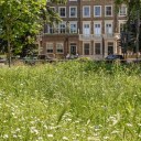 Clapham Common / Project viewed from the common