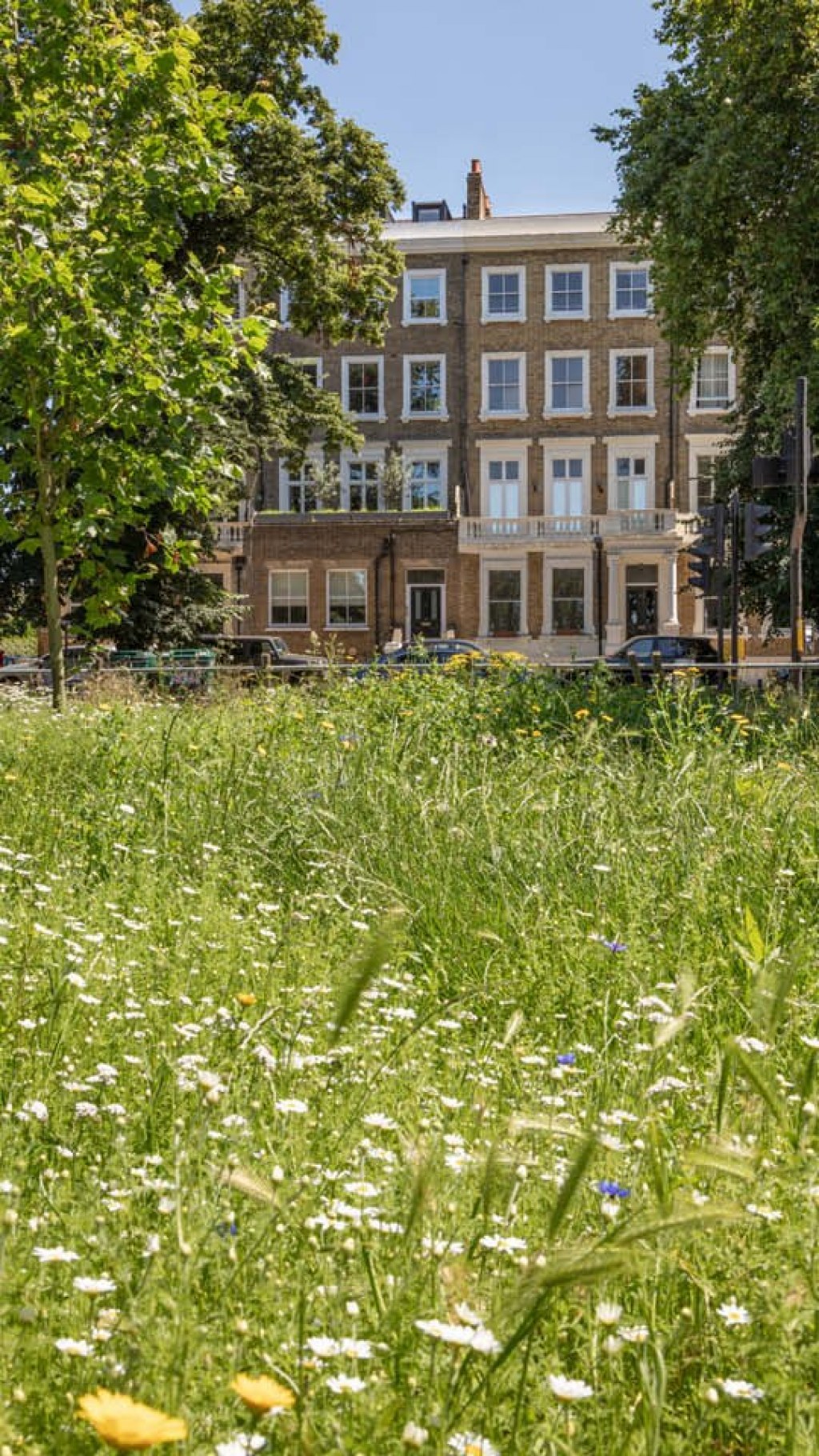 Clapham Common / Project viewed from the common