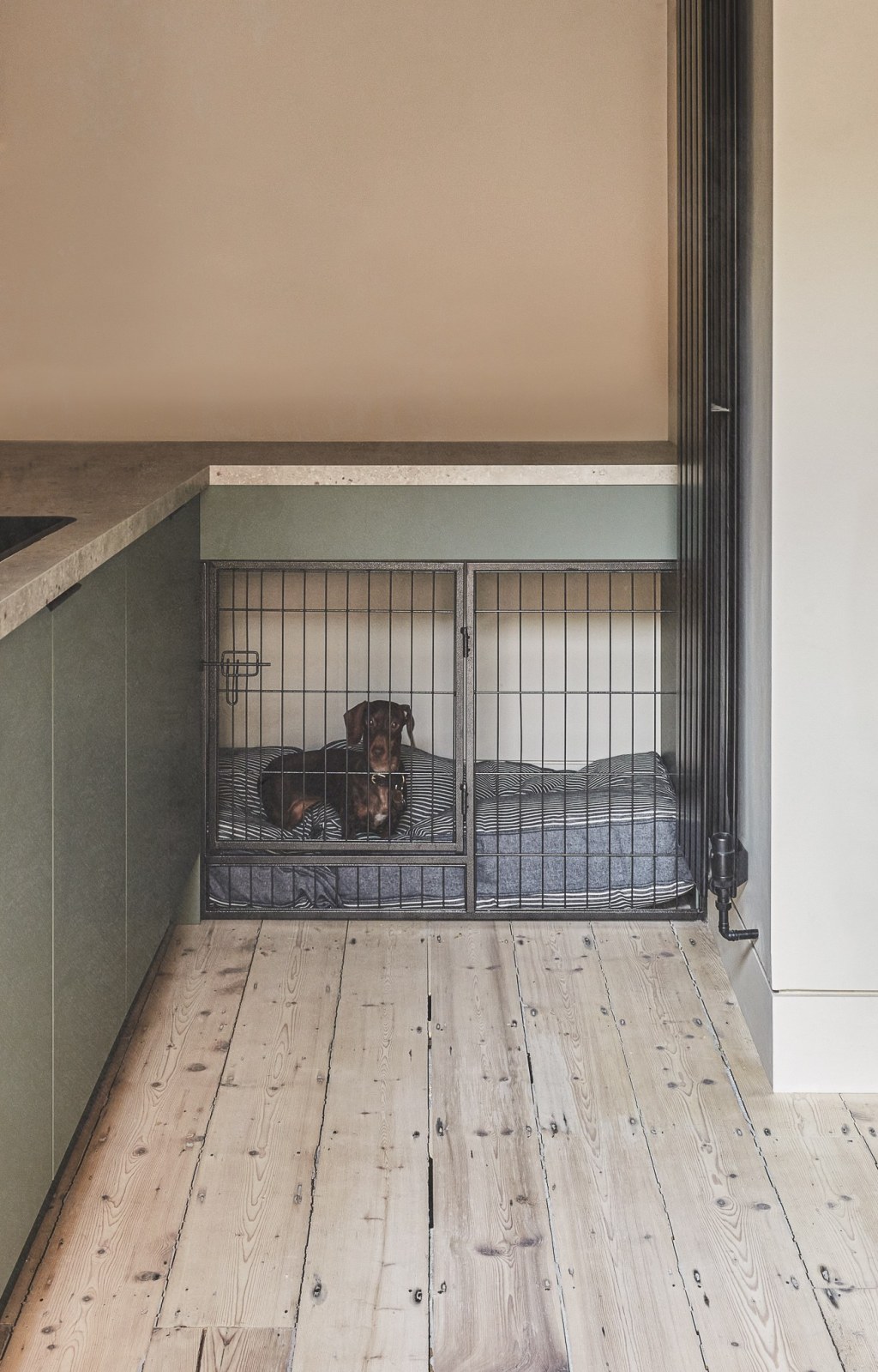 East Dulwich / Dachshund nook