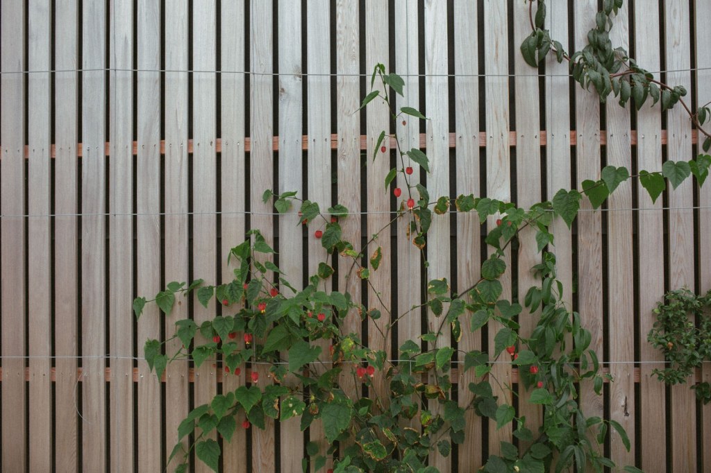 Twin Barn Farm / Timber Cladding
